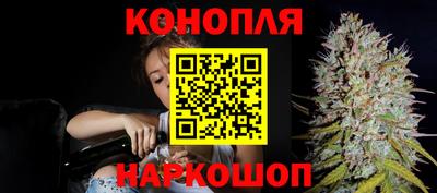 мяу мяу мука Малоярославец